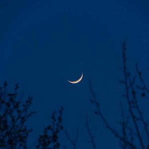 老鸭窝性爱视频
